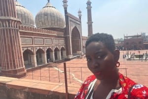 Delhi: Full Day Old and New Delhi Private Luxury Guided Tour