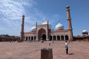 Delhi: Full Day Old and New Delhi Private Luxury Guided Tour