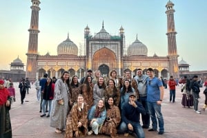 Delhi: Full Day Old and New Delhi Private Luxury Guided Tour