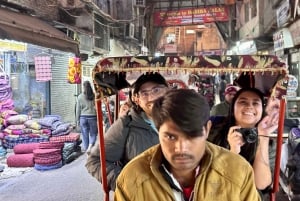 Delhi: Full Day Old and New Delhi Private Luxury Guided Tour