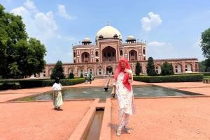 Дели: частная экскурсия по городу (Старый и Новый Дели) (всё включено)