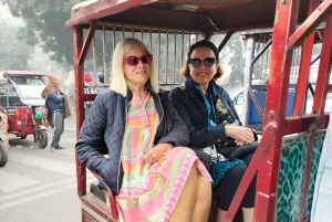 Дели: частная экскурсия по городу (Старый и Новый Дели) (всё включено)