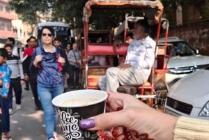 Delhi :Full day premium tour with private car and guide