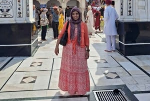 Delhi :Full day premium tour with private car and guide