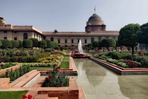 Delhi: Heldagstur i Old & New Delhi i privat bil