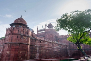 Delhi : visite d'une jounée de l'ancienne et de la nouvelle Delhi en voiture privée