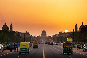 Delhi: Tour privado de un día por la Vieja y la Nueva Delhi 2024