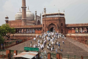 Delhi: Tour privado de un día por la Vieja y la Nueva Delhi 2024