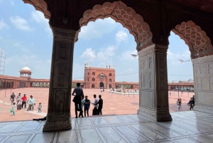 Delhi: Ganztägige private Tour durch Alt- und Neu-Delhi 2024