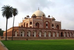 Discover Delhi in a Day: Private Tour with Comfort & Style