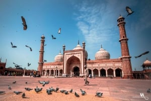 Discover Delhi in a Day: Private Tour with Comfort & Style