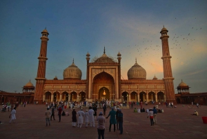 Delhi : visite d'une jounée touristique en voiture avec guide gouvernemental