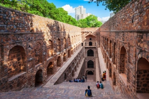 Delhi: Rondleiding door de stad van een halve dag