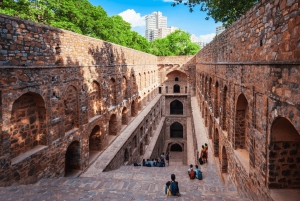 Delhi: tour guidato di mezza giornata della città