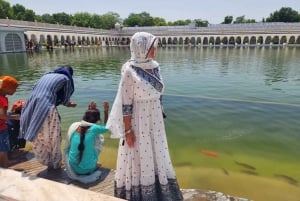 Delhi: Guided City Spirituality and Cultural Diversity Tour