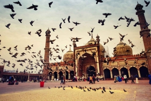 Delhi: Guided Full-Day City Sightseeing Tour