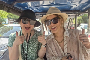 Delhi: zwiedzanie miasta z przewodnikiem podczas międzylądowania z lotniska na lotnisko