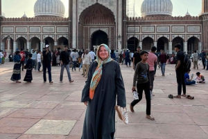 Delhi: zwiedzanie miasta z przewodnikiem podczas międzylądowania z lotniska na lotnisko