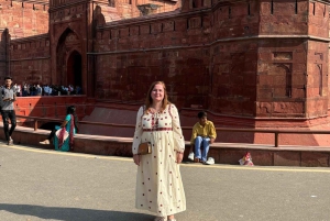 Delhi: zwiedzanie miasta z przewodnikiem podczas międzylądowania z lotniska na lotnisko