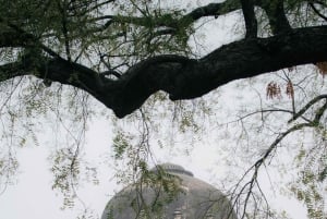 Delhi: Privé avondtour met ophaalservice vanaf je hotel