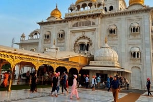 Delhi : visite d'une demi-journée (4 heures) - options disponibles