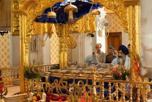 Delhi : visite d'une demi-journée (4 heures) - options disponibles