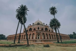 Delhi: Nuova e Vecchia Delhi Tour privato di mezza o intera giornata