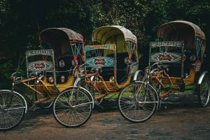 Delhi: Nuova e Vecchia Delhi Tour privato di mezza o intera giornata