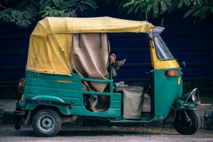 Delhi: tour di mezza giornata o tour di un giorno intero in privato