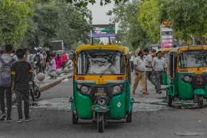 Delhi: tour privado de medio día o día completo