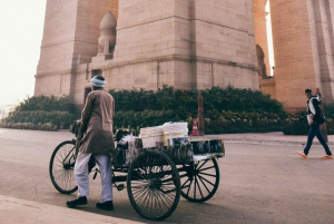 Delhi: tour di mezza giornata o tour di un giorno intero in privato