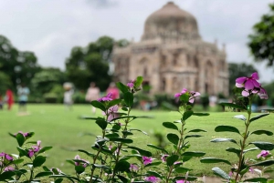 Delhi: Halve dag privé tour met gids door de stad