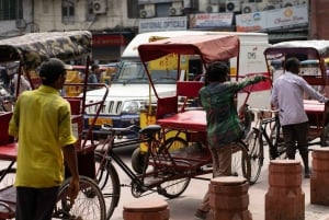 Delhi: privétour van een halfdaagse rondleiding met gids en ophaalservice