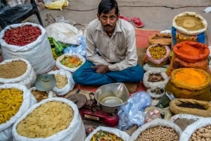 Delhi: privétour van een halfdaagse rondleiding met gids en ophaalservice