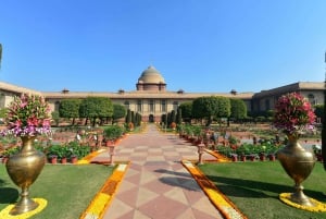Delhi: Halve dag Sacred Heart Cathedral, lunch & India Gate