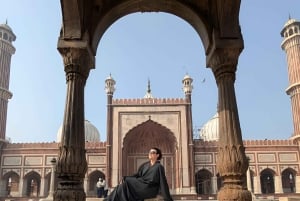 デリー：アクシャルダム寺院と赤い城跡を訪れる半日または1日ツアー