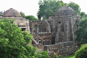 Delhi: Hauz Khas Village en Hertenpark Wandeltour met gids