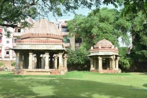 Delhi : visite guidée à pied du village de Hauz Khas et du parc aux daims