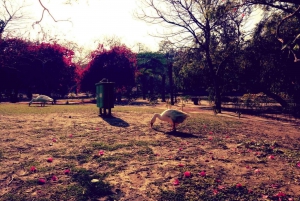 Delhi: Heritage Photography Tour