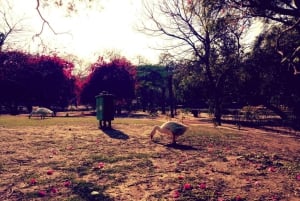 Delhi: Heritage Photography Tour