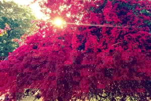 Delhi: Heritage Photography Tour