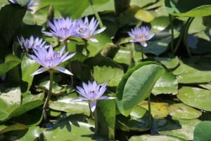 Visite des trésors cachés de Delhi : art, histoire et parcs patrimoniaux