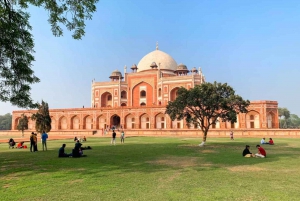 Delhi: Høydepunkter i Old Delhi og Delhi med privat guide