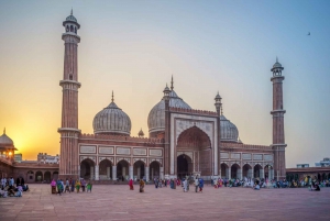 Delhi: Højdepunkter i Old Delhi og Delhi med privat guide