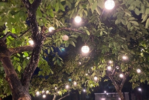 Delhi: Avondtour langs erfgoed en je eigen reisschema