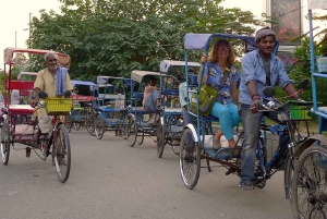 Delhi: India Gate, Humayun Tomb og Qutub Minar - guidet tur