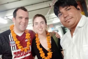 Delhi/Jaipur/Agra: Privat enveistransport