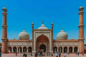 Delhi: rundtur i Jama Masjid, Qutub Minar och Humayuns grav