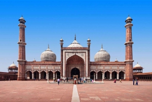 Delhi: Omvisning i Jama Masjid, Qutub Minar og Humayun-graven