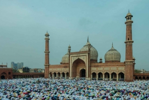 Delhi: rundtur i Jama Masjid, Qutub Minar och Humayuns grav